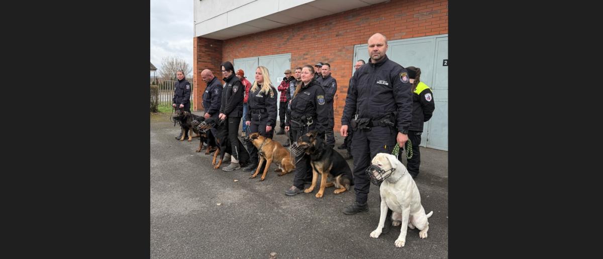 Psovodi na výcviku ve Slaném