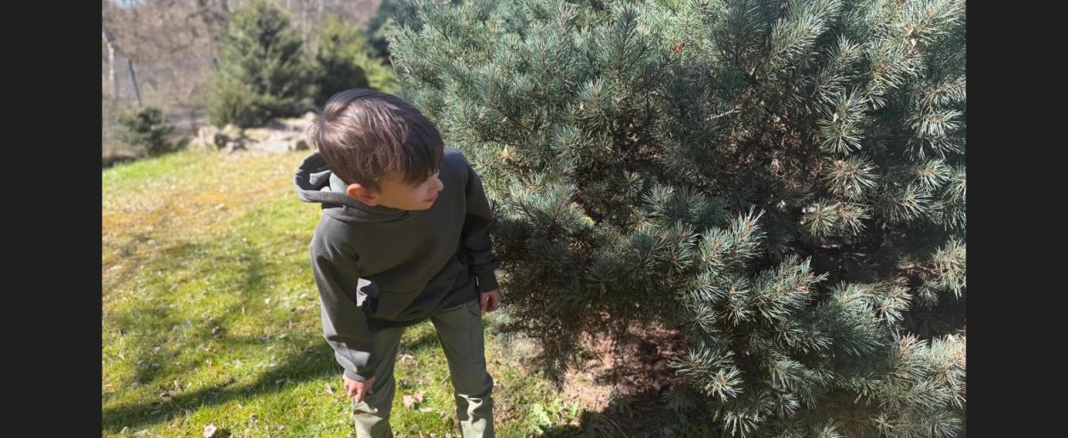 Odpoledne plné pohybu