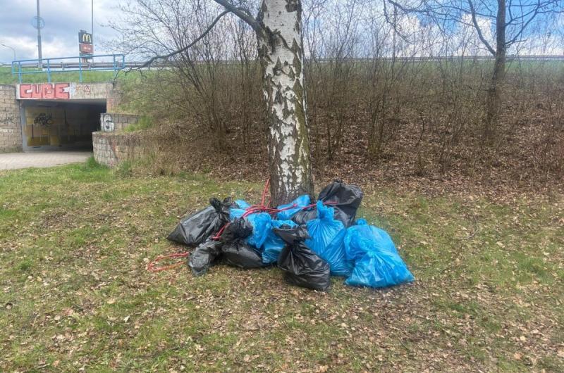Žáci i letos vyrazili čistit břehy Ohře