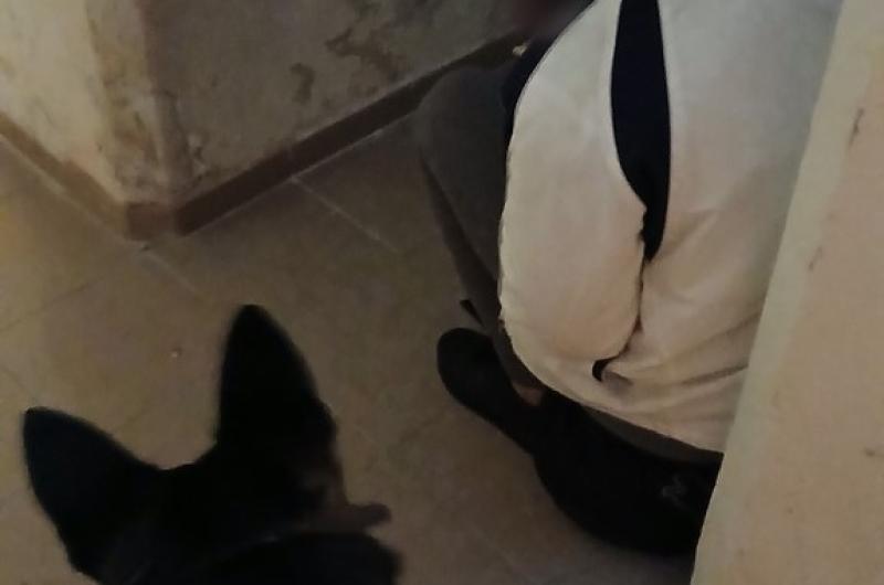 Ženu ukrytou ve sklepě vypátral služební pes