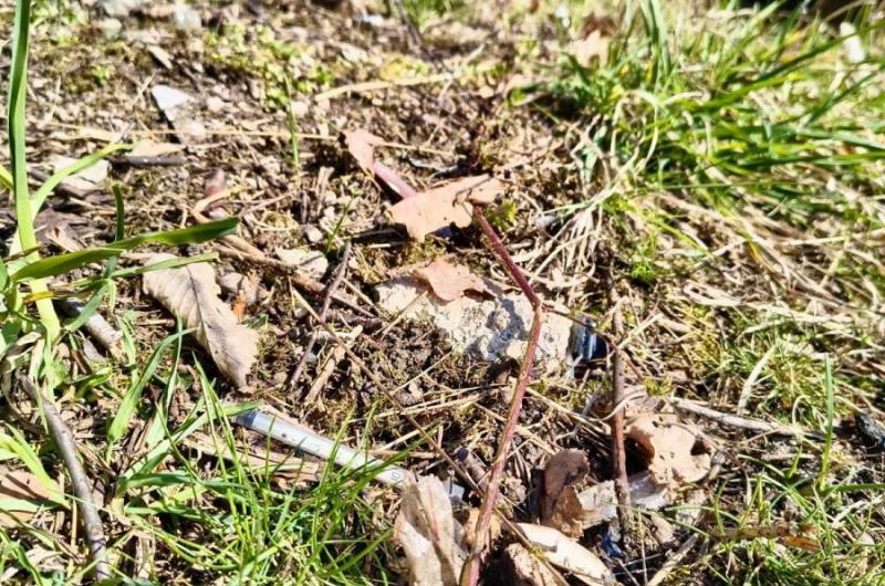 Akce „Jehla“: Strážníci prověřili dětská hřiště i riziková místa