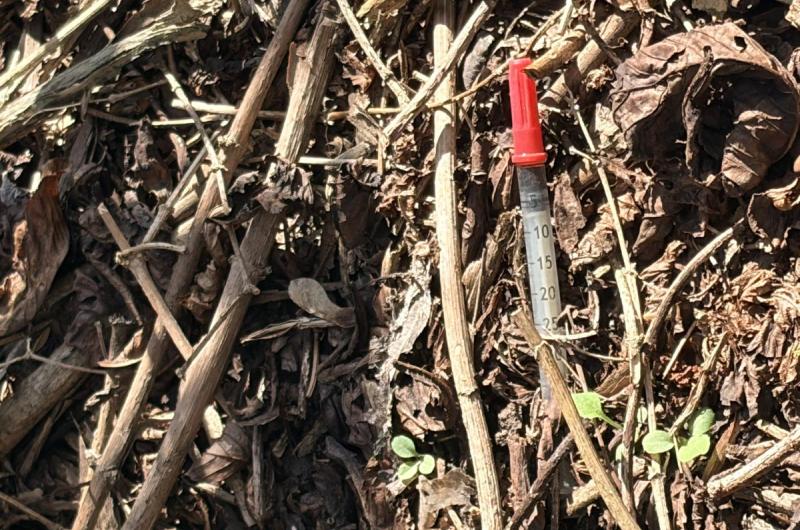 Žáci i letos vyrazili čistit břehy Ohře