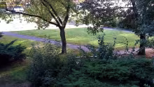 Park