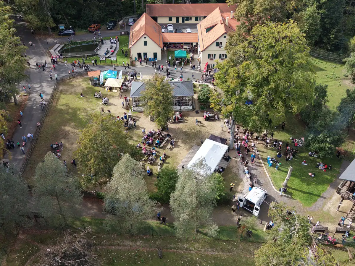 Buřty v lese