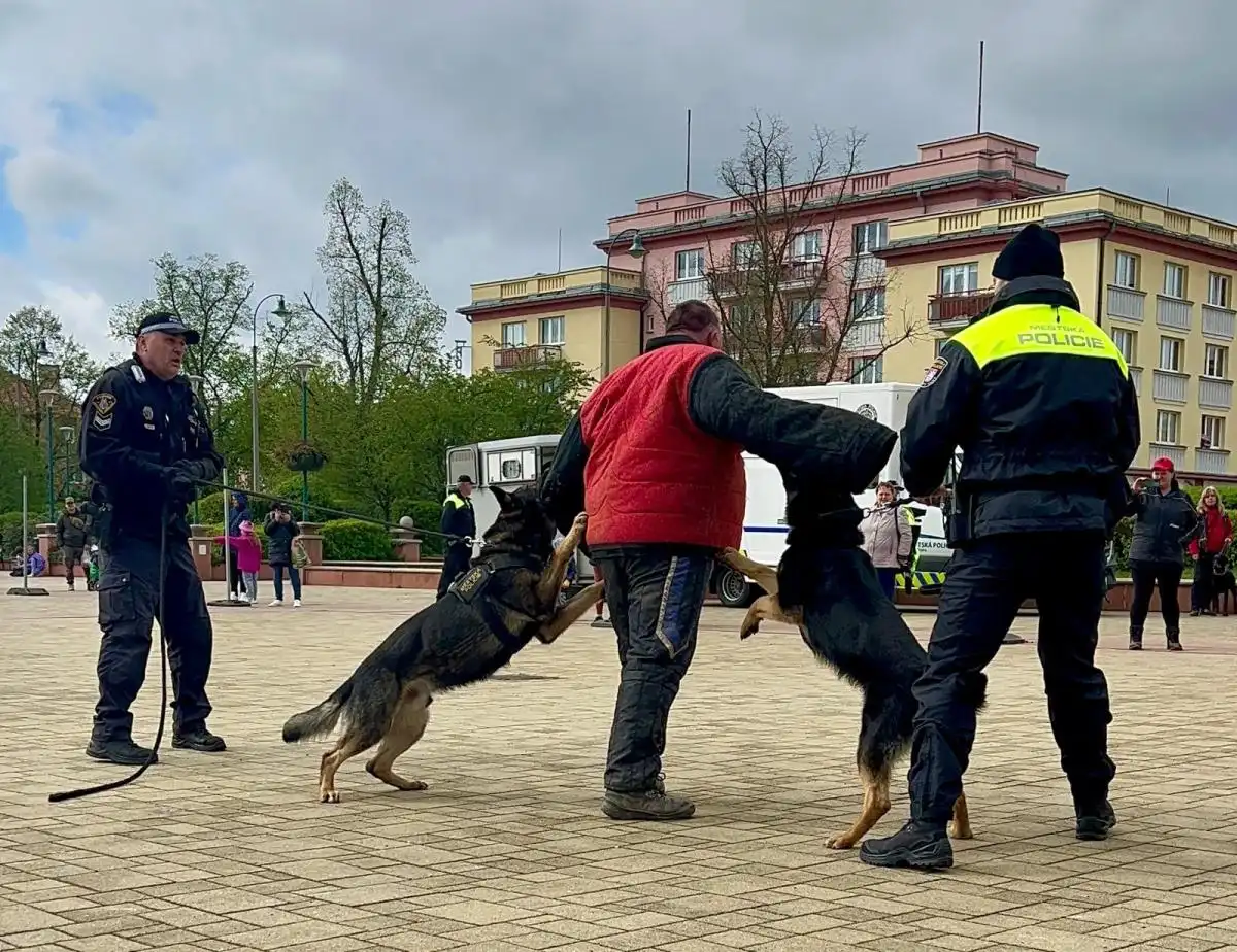 městská policie