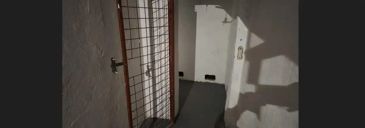 nezvaný host