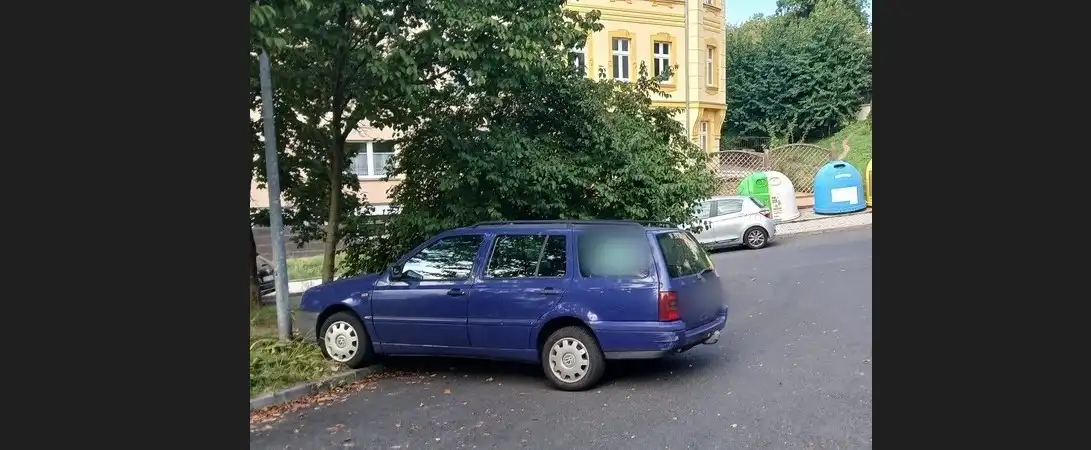 auto