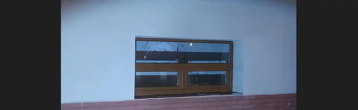 Nezvaní hosté v letním kině