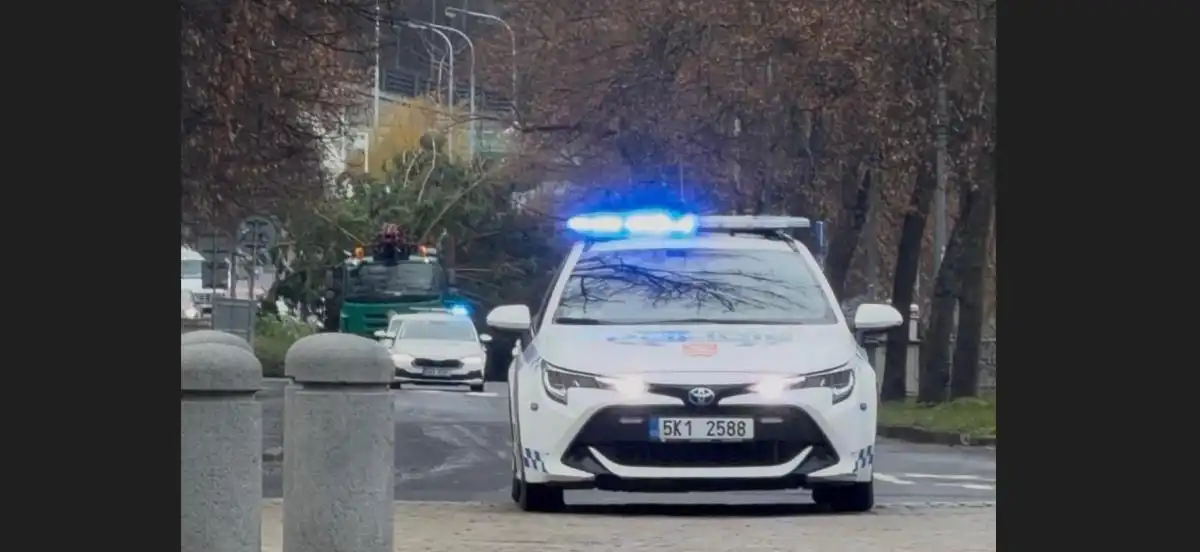 převoz stromu