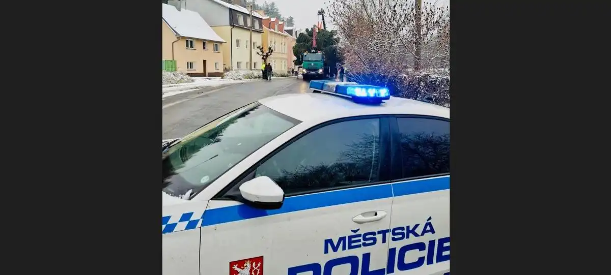 vánoční strom