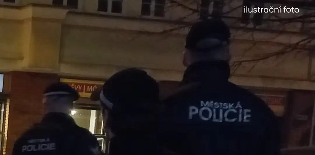 Podezřelé osoby vypátrali strážníci