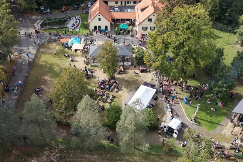 Buřty v lese