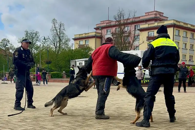 městská policie