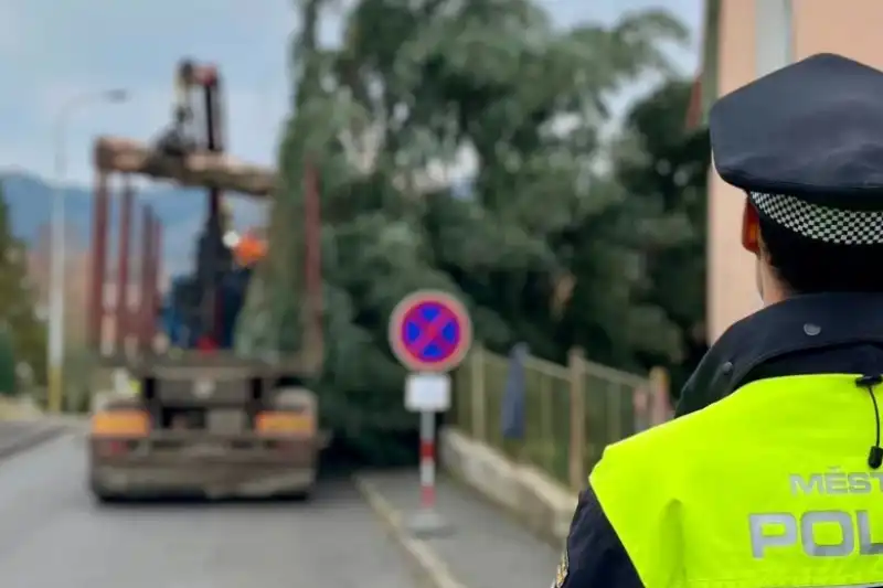 vánoční strom