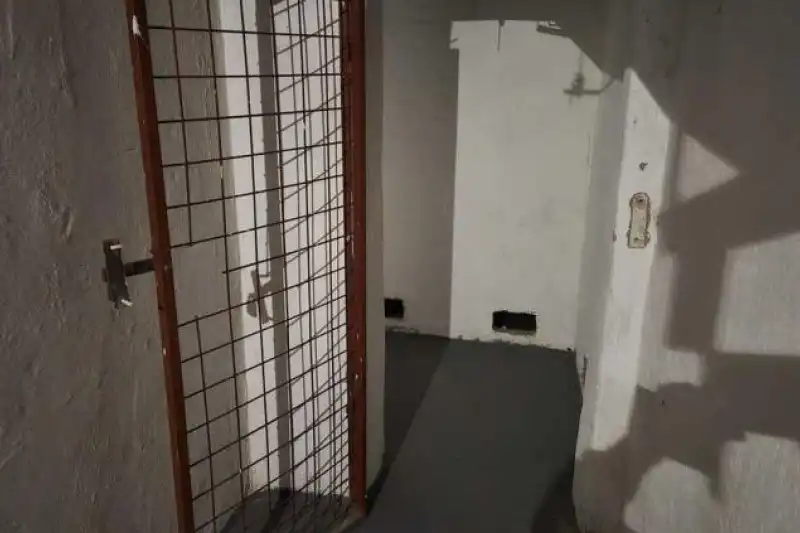 nezvaný host