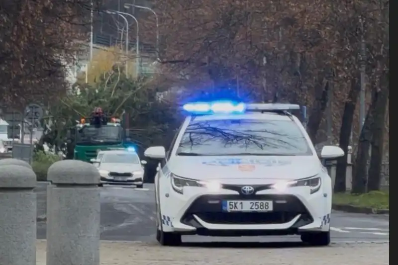 převoz stromu