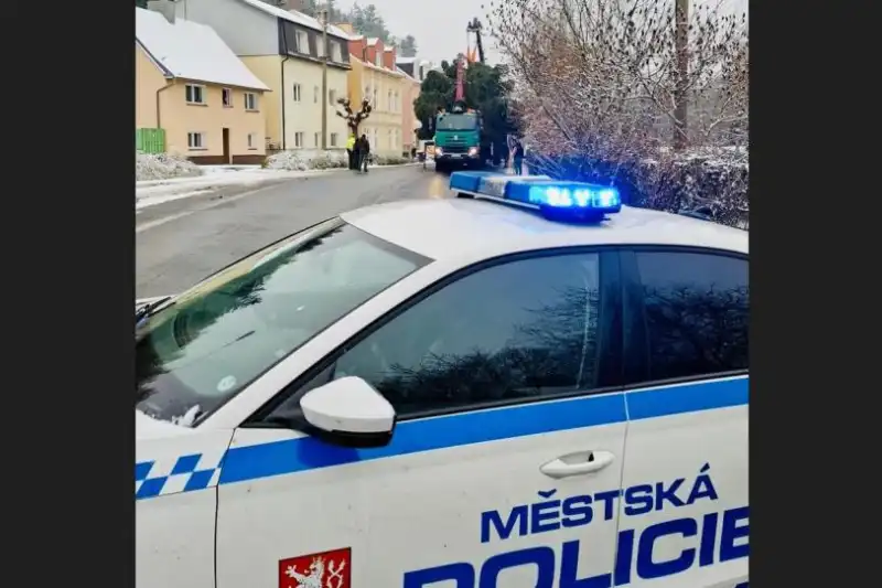 vánoční strom