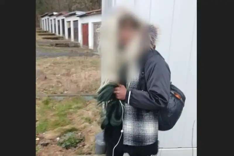 Zmatená žena napadla autobus
