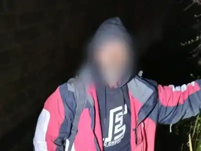 Pád do příkopu