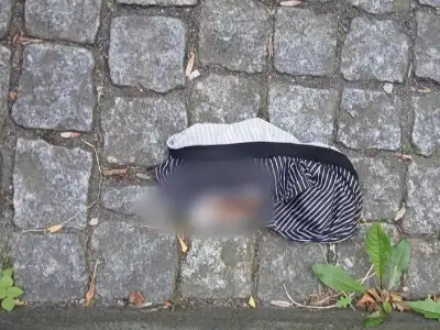 UDÁLOSTI TÝDNE