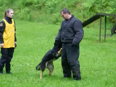 karlovarští psovodi