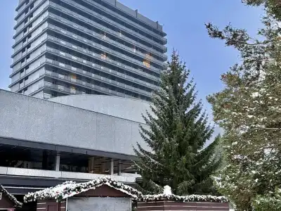 vánoční strom