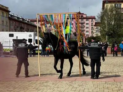 městská policie