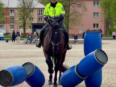 městská policie