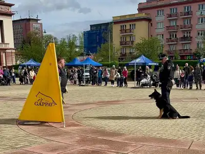 městská policie