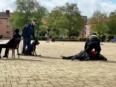 městská policie