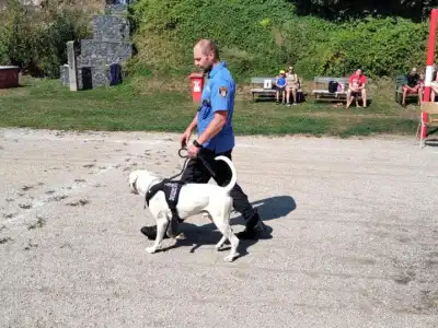 den dětí