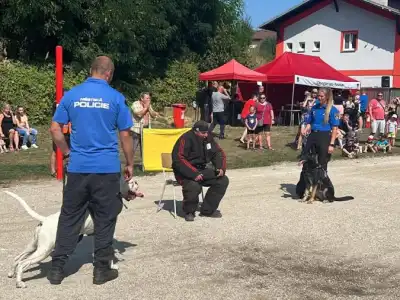 den dětí