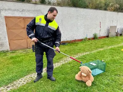 odchyt zvířat