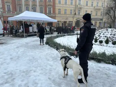 průvod