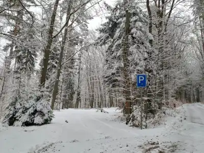auta