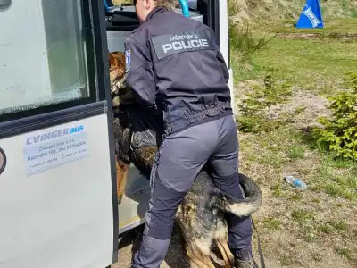 společný výcvik psovodů