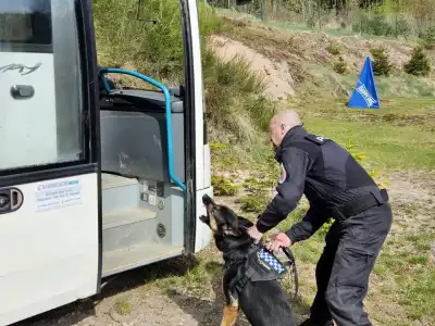 společný výcvik psovodů
