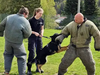 společný výcvik psovodů