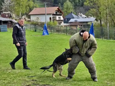 společný výcvik psovodů