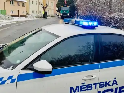 vánoční strom