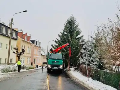 vánoční strom