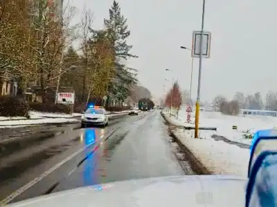vánoční strom