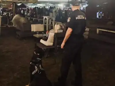 kulturní léto