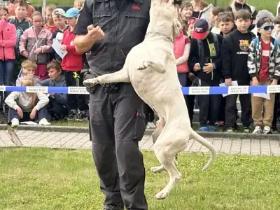 Preventisté v akci – týden plný dětí, úkolů a jednoho hlučného darebáka