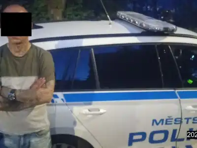 osoba v pátrání