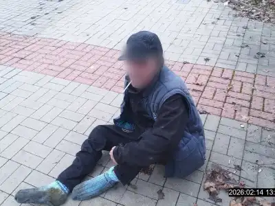 Na ulici bez bot